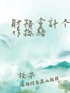 财务会计个人工作总结