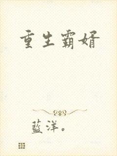 重生霸婿