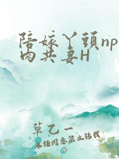 陪嫁丫头np全肉共妻H