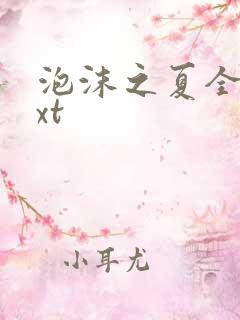 泡沫之夏全集txt