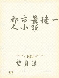 都市最后一个仙人小说