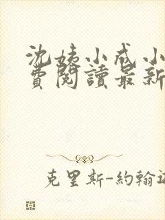 沈姨小成小说免费阅读最新章节更新