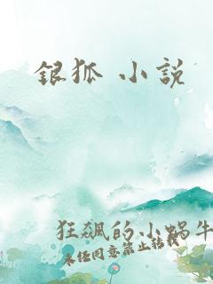 银狐 小说