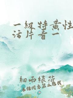 一级特黄性色生活片看一