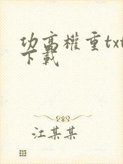功高权重txt下载