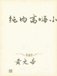 纯肉高嗨小说