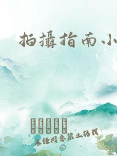 拍摄指南小说
