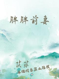 胖胖前妻