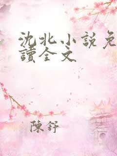 沈北小说免费阅读全文
