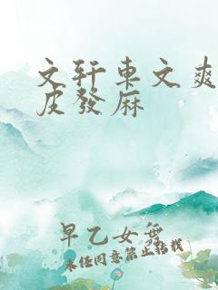 文轩车文爽到头皮发麻