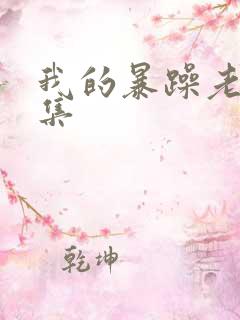 我的暴躁老妈全集