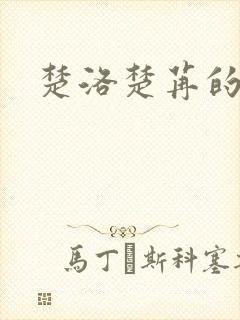 楚洛楚苒的小说