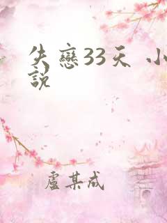 失恋33天 小说