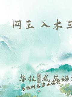网王 入木三分