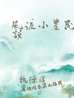 风流小农民的小说