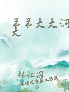 弟弟大大洞洞大大