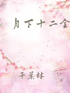 月下十二金钗
