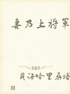 妻乃上将军下载