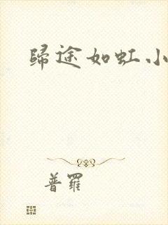 归途如虹小说