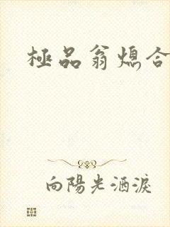 极品翁熄合集