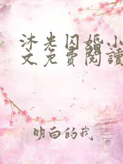 沐光囚婚小说全文免费阅读