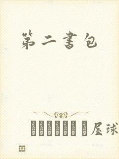 第二书包