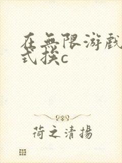 在无限游戏里花式挨c