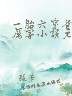 一胎六宝爸比好厉害小说免费阅读