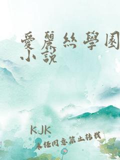 爱丽丝学园同人小说