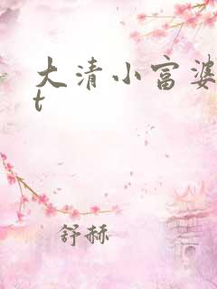 大清小富婆txt