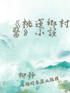《桃运乡村小神医》小说