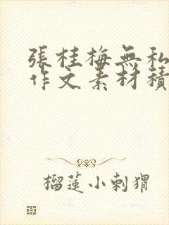 张桂梅无私奉献作文素材积累