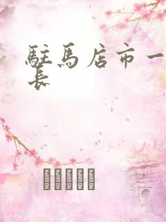 驻马店市一高校长