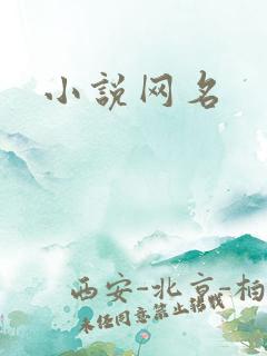 小说网名