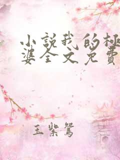 小说我的极品老婆全文免费阅读