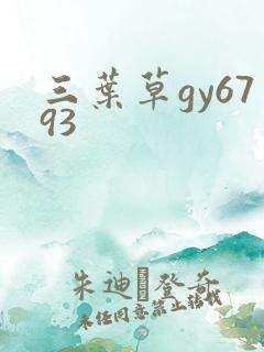 三叶草gy6793