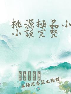 桃源极品小仙医小说完整