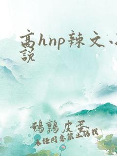 高hnp辣文小说
