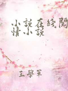 小说在线阅读言情小说