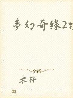 梦幻奇缘2攻略