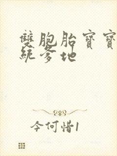 双胞胎宝宝的总统爹地