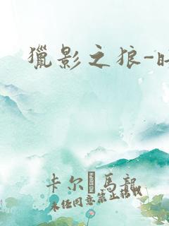猎影之狼-暗夜