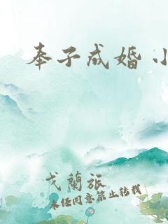 奉子成婚 小说