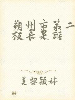 朔州市第二小学校长是谁