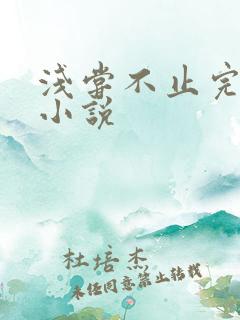 浅尝不止完整版小说