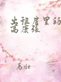 出租房里的交互高康张