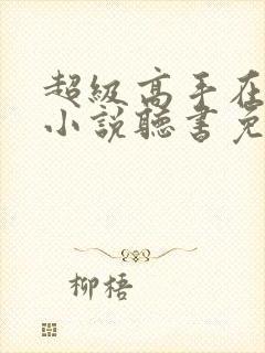 超级高手在都市小说听书免费全集