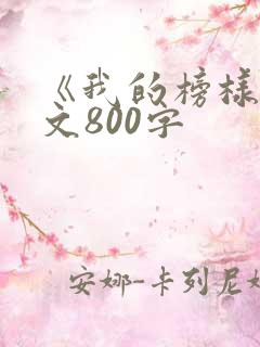 《我的榜样》作文800字