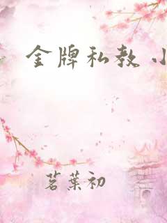 金牌私教 小说