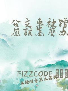 公交车被蹭了我应该怎么办